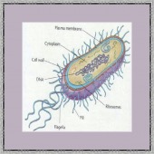 women work desk image healthtips images